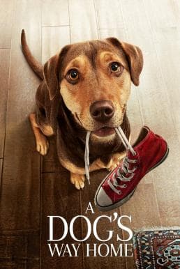 ดูหนังออนไลน์ฟรีเรื่อง A Dog’s Way Home (2019) เพื่อนรักผจญภัยสี่ร้อยไมล์ ดูหนังออนไลน์ HD พากย์ไทย HD