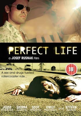 ดูหนังออนไลน์ฟรีเรื่อง A Perfect Life (2010) พิศวาสสีเลือด ดูหนังออนไลน์ HD พากย์ไทย HD