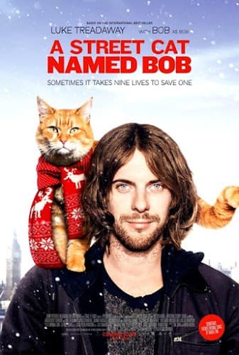 ดูหนังออนไลน์ฟรีเรื่อง A Street Cat Named Bob (2016) บ๊อบ แมว เพื่อน คน ดูหนังออนไลน์ HD พากย์ไทย HD