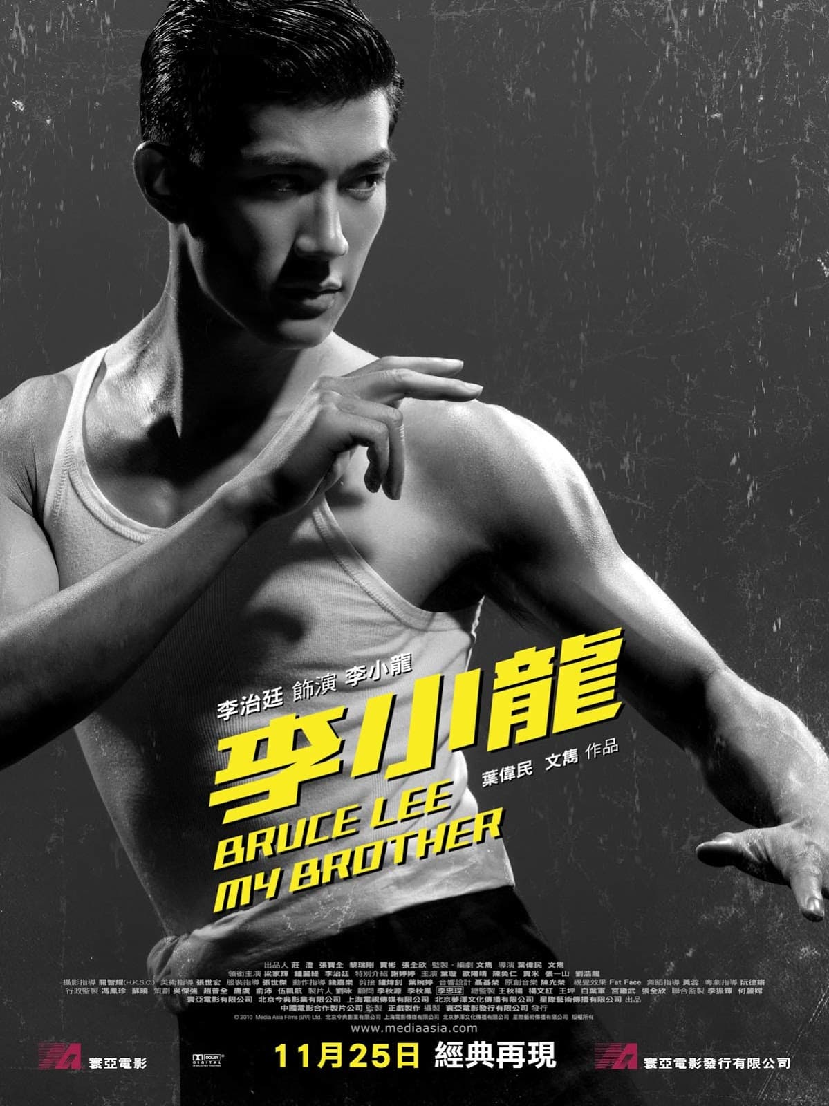 ดูหนังออนไลน์ฟรีเรื่อง Bruce Lee My Brother (2010) บรู๊ซ ลี เตะแรกลั่นโลก ดูหนังออนไลน์ HD พากย์ไทย HD