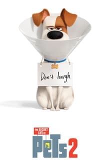 ดูหนังออนไลน์ฟรีเรื่อง The Secret Life of Pets 2 (2019) เรื่องลับแก๊งขนฟู 2 ดูหนังออนไลน์ HD พากย์ไทย HD