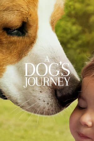 ดูหนังออนไลน์ฟรีเรื่อง A Dog’s Journey หมา เป้าหมาย และเด็กชายของผม 2 ดูหนังออนไลน์ HD พากย์ไทย HD