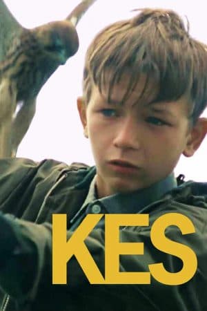 ดูหนังออนไลน์ฟรีเรื่อง Kes (1969) จิตวิญญาณเสรี ดูหนังออนไลน์ HD พากย์ไทย HD