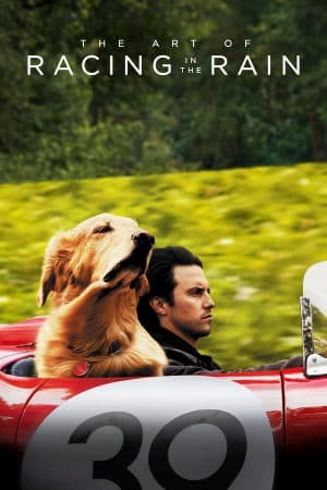 ดูหนังออนไลน์ฟรีเรื่อง The Art of Racing in the Rain (2019) อุ่นไอหัวใจตูบ ดูหนังออนไลน์ HD พากย์ไทย HD