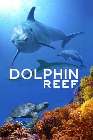 ดูหนังออนไลน์ฟรีเรื่อง Dolphin Reef (2020) Disney+ อัศจรรย์ชีวิตของโลมา ดูหนังออนไลน์ HD พากย์ไทย HD