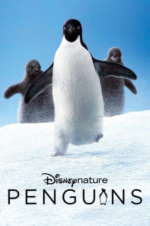 ดูหนังออนไลน์ฟรีเรื่อง Penguins (2019) เพนกวิน ดูหนังออนไลน์ HD พากย์ไทย HD