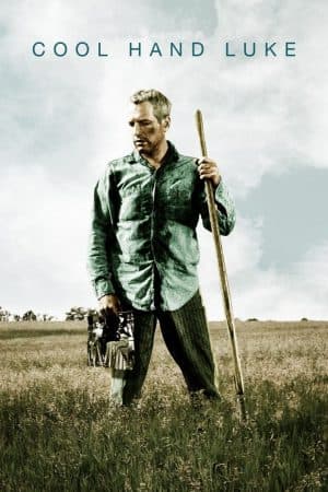 ดูหนังออนไลน์ฟรีเรื่อง Cool Hand Luke (1967) คนสู้คน ดูหนังออนไลน์ HD พากย์ไทย HD