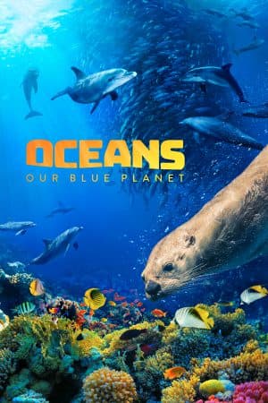 ดูหนังออนไลน์ฟรีเรื่อง Oceans: Our Blue Planet (2012) มหาสมุทร ในดาวเคราะห์สีน้ำเงินของเรา ดูหนังออนไลน์ HD พากย์ไทย HD