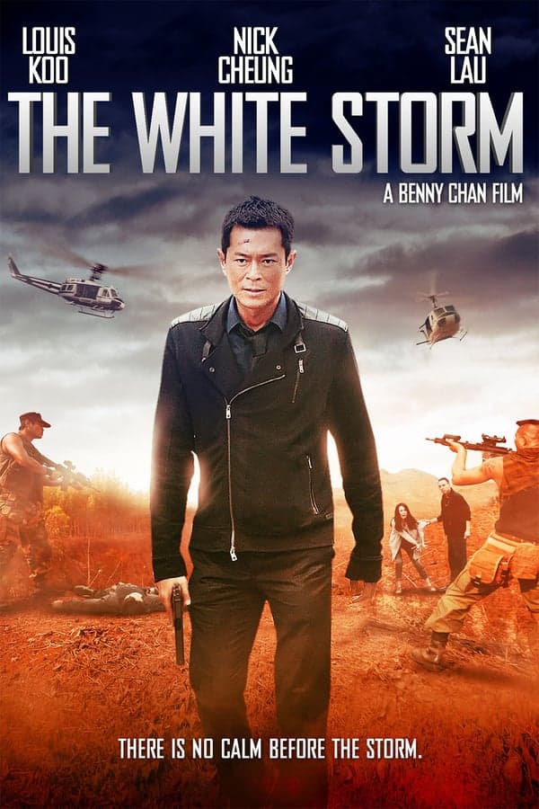 ดูหนังออนไลน์ฟรีเรื่อง The White Storm (2013) โคตรคนโค่นคนอันตราย ดูหนังออนไลน์ HD พากย์ไทย HD