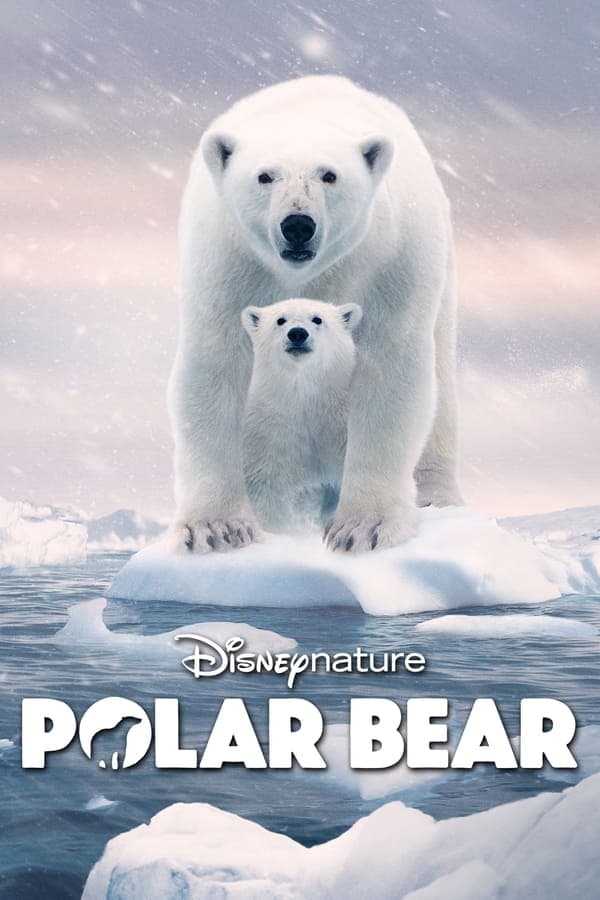 ดู Polar Bear (2022) พากย์ไทย HD จาก Disney+