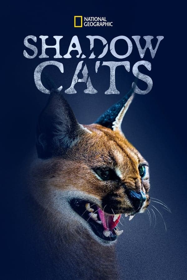 ดูหนังออนไลน์ฟรีเรื่อง Shadow Cats (2022) ดูหนังออนไลน์ HD พากย์ไทย HD