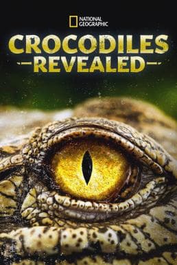 ดู Crocodiles Revealed (2022) HD จาก Disney+