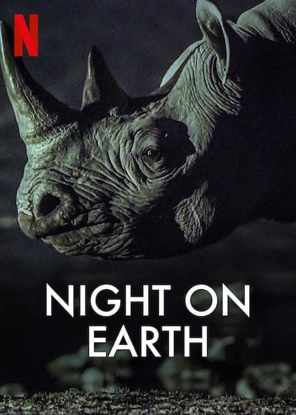 ดูหนังออนไลน์ฟรีเรื่อง Night On Earth (2020) ส่องโลกยามราตรี ดูหนังออนไลน์ HD พากย์ไทย HD