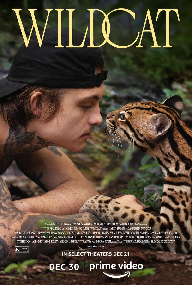 ดูหนังออนไลน์ฟรีเรื่อง Wildcat (2022) สารคดีแมวป่า ดูหนังออนไลน์ HD พากย์ไทย HD