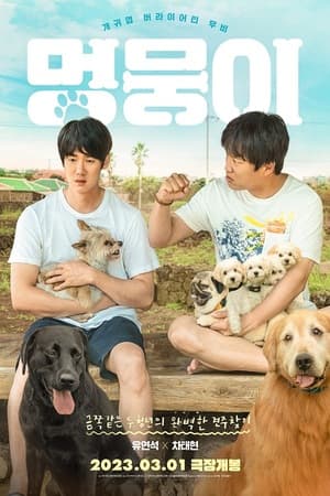 ดูหนังออนไลน์ฟรีเรื่อง My Heart Puppy (2023) ดูหนังออนไลน์ HD พากย์ไทย HD