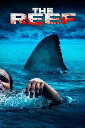 ดูหนังออนไลน์ฟรีเรื่อง The Reef (2010) ครีบสยองทะเลเลือด ดูหนังออนไลน์ HD พากย์ไทย HD