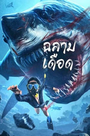 ดูหนังปี 2023 Shark Evil (2023) ฉลามเดือด HD