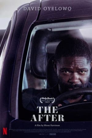 ดูหนังออนไลน์ฟรีเรื่อง The After (2023) ดิ อาฟเตอร์ ดูหนังออนไลน์ HD พากย์ไทย HD