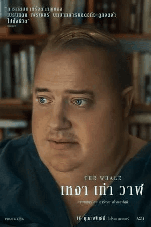 ดูหนังออนไลน์ฟรีเรื่อง The Whale (2022) เหงา เท่า วาฬ ดูหนังออนไลน์ HD พากย์ไทย HD