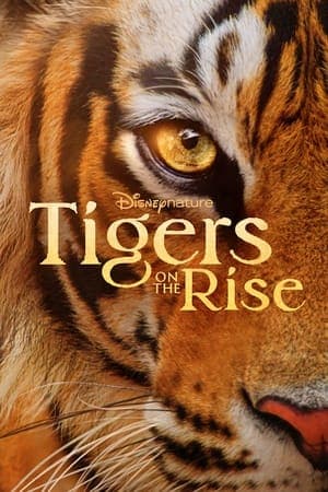 ดูหนังออนไลน์ฟรีเรื่อง Tigers on the Rise (2024) ดูหนังออนไลน์ HD พากย์ไทย HD