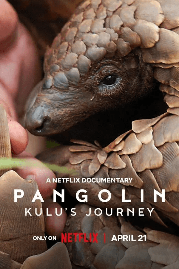 ดูหนังออนไลน์ฟรีเรื่อง Pangolin: Kulu’s Journey (2025) การเดินทางของคูลู ดูหนังออนไลน์ HD พากย์ไทย HD