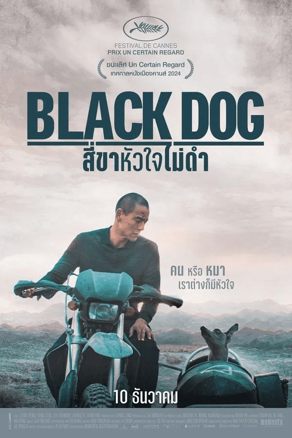 ดูหนังออนไลน์ฟรีเรื่อง Black Dog (2024) สี่ขาหัวใจไม่ดำ ดูหนังออนไลน์ HD พากย์ไทย HD