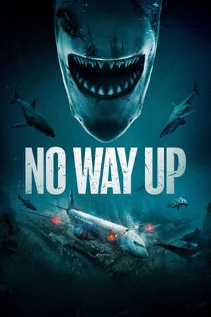 ดูหนังปี 2024 No Way Up (2024) งาบคลั่งไฟลต์ HD